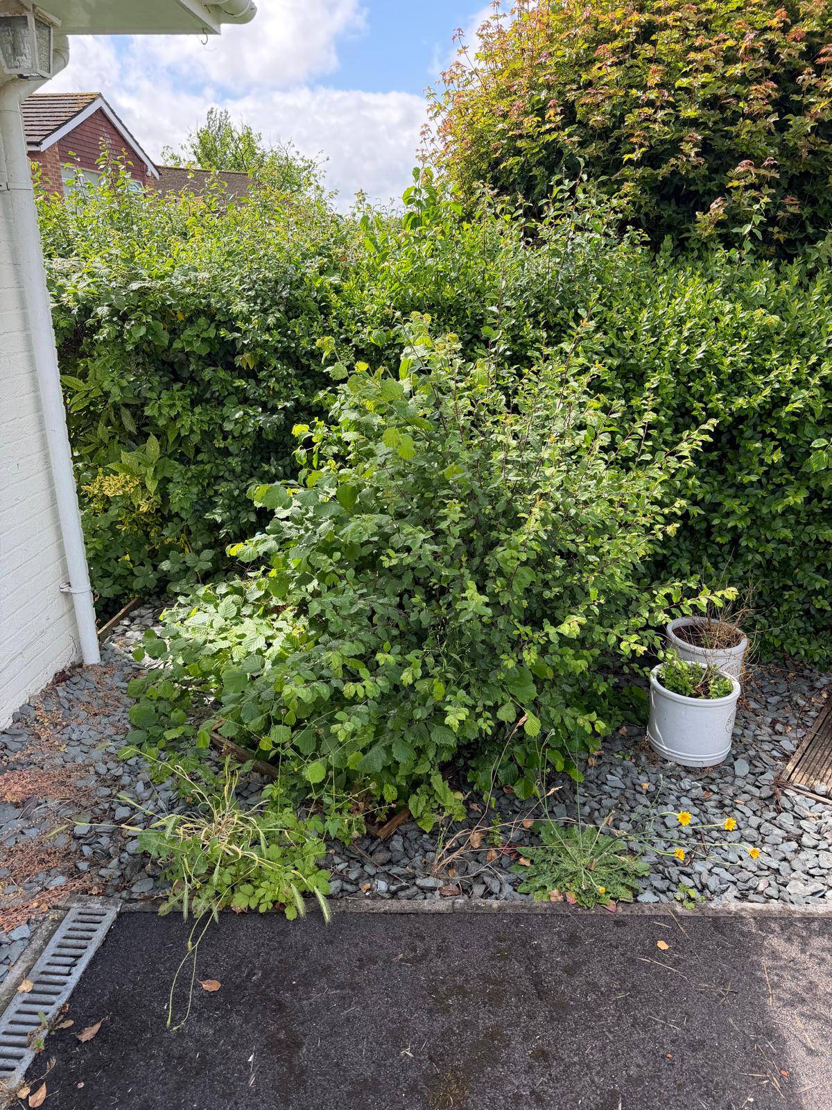 Before