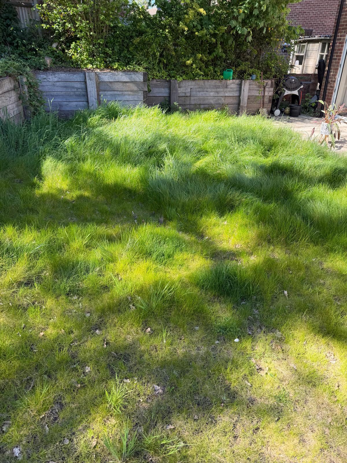Before